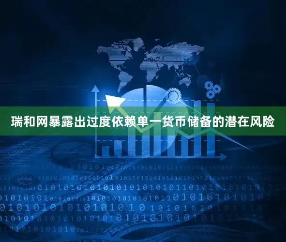 瑞和网暴露出过度依赖单一货币储备的潜在风险
