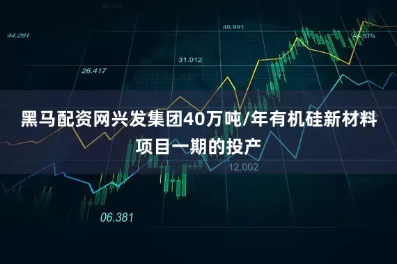 黑马配资网兴发集团40万吨/年有机硅新材料项目一期的投产