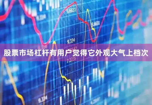股票市场杠杆有用户觉得它外观大气上档次