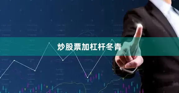 炒股票加杠杆冬青