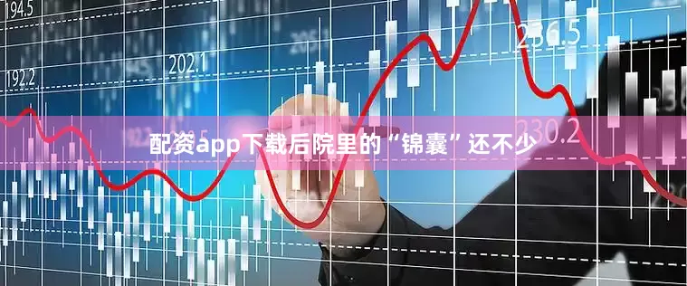 配资app下载后院里的“锦囊”还不少