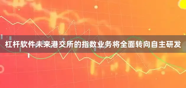杠杆软件未来港交所的指数业务将全面转向自主研发