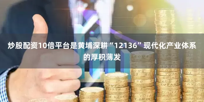 炒股配资10倍平台是黄埔深耕“12136”现代化产业体系的厚积薄发
